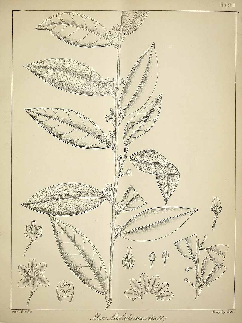 no HD illustration available (3)