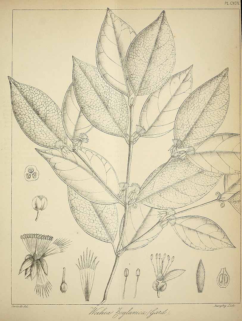 no HD illustration available (3)