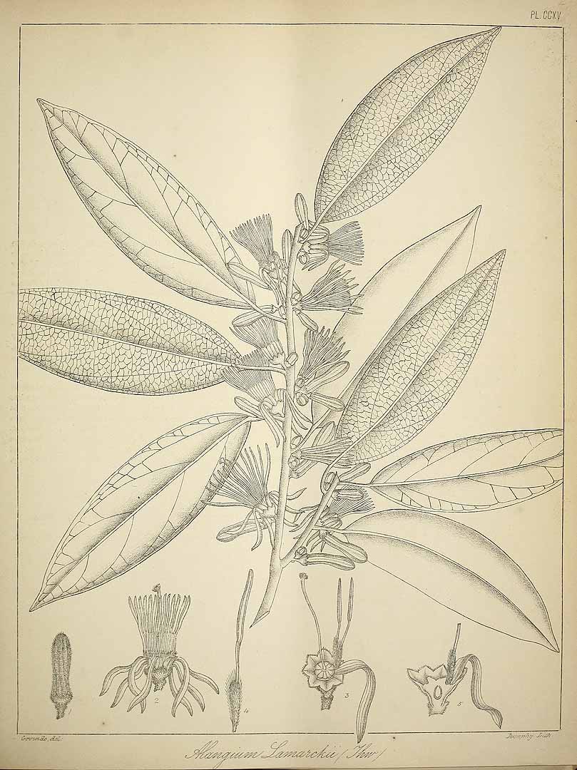 no HD illustration available (3)