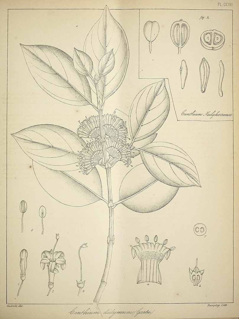 no HD illustration available (3)