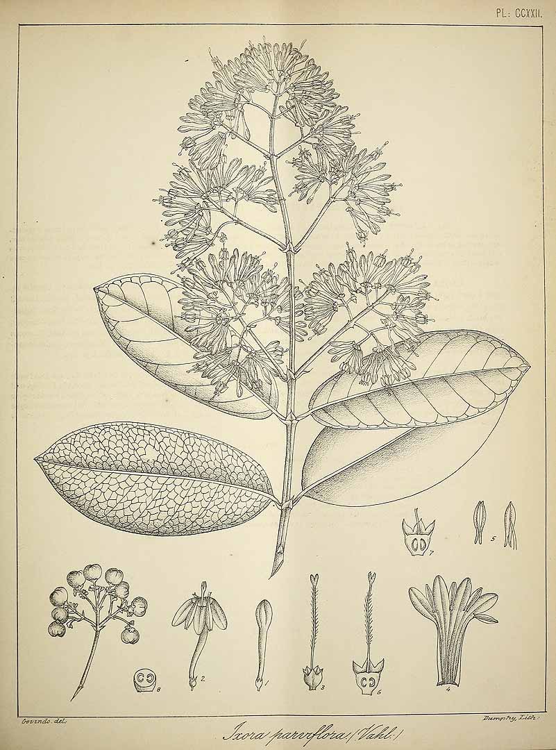 no HD illustration available (3)