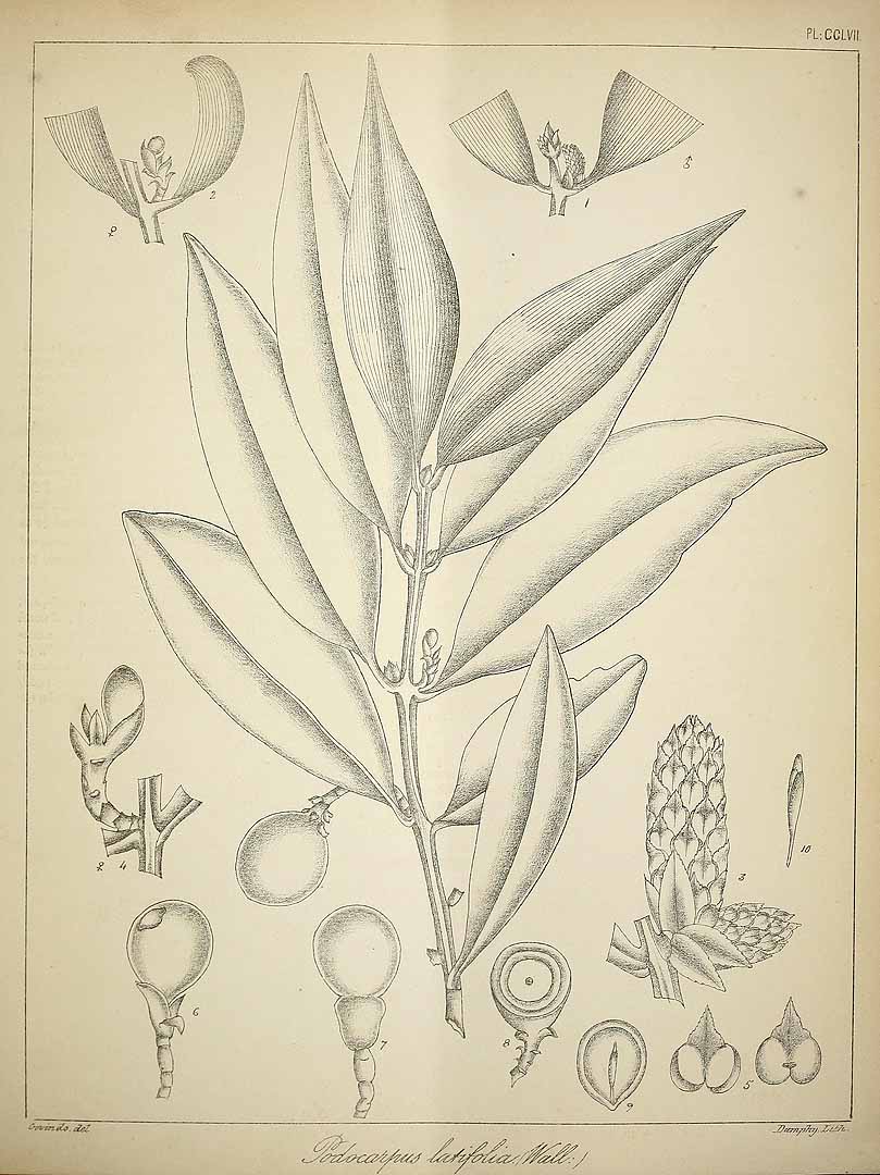 no HD illustration available (3)