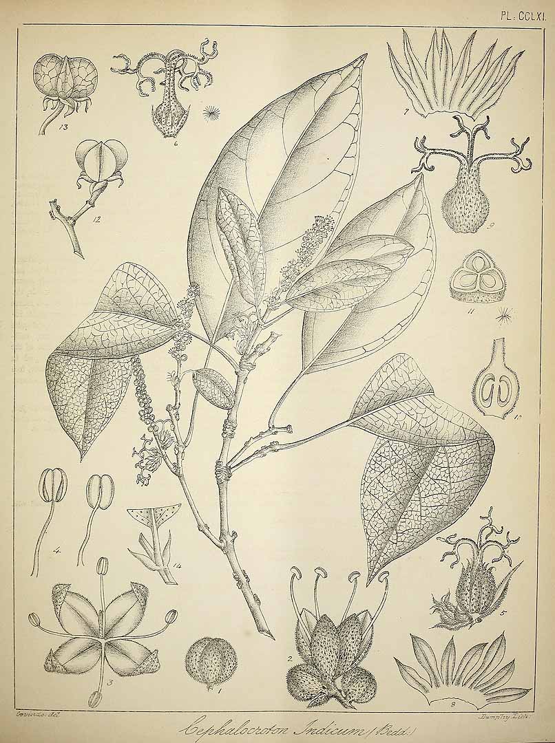 no HD illustration available (3)