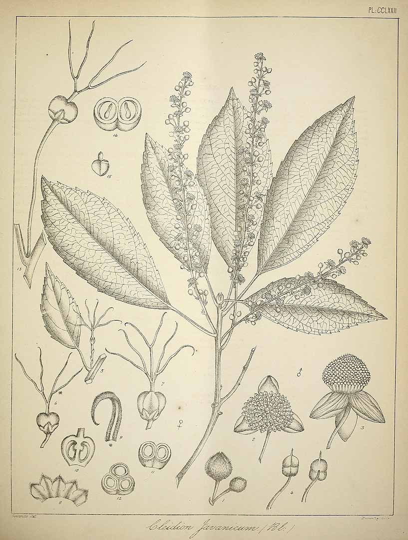 no HD illustration available (3)