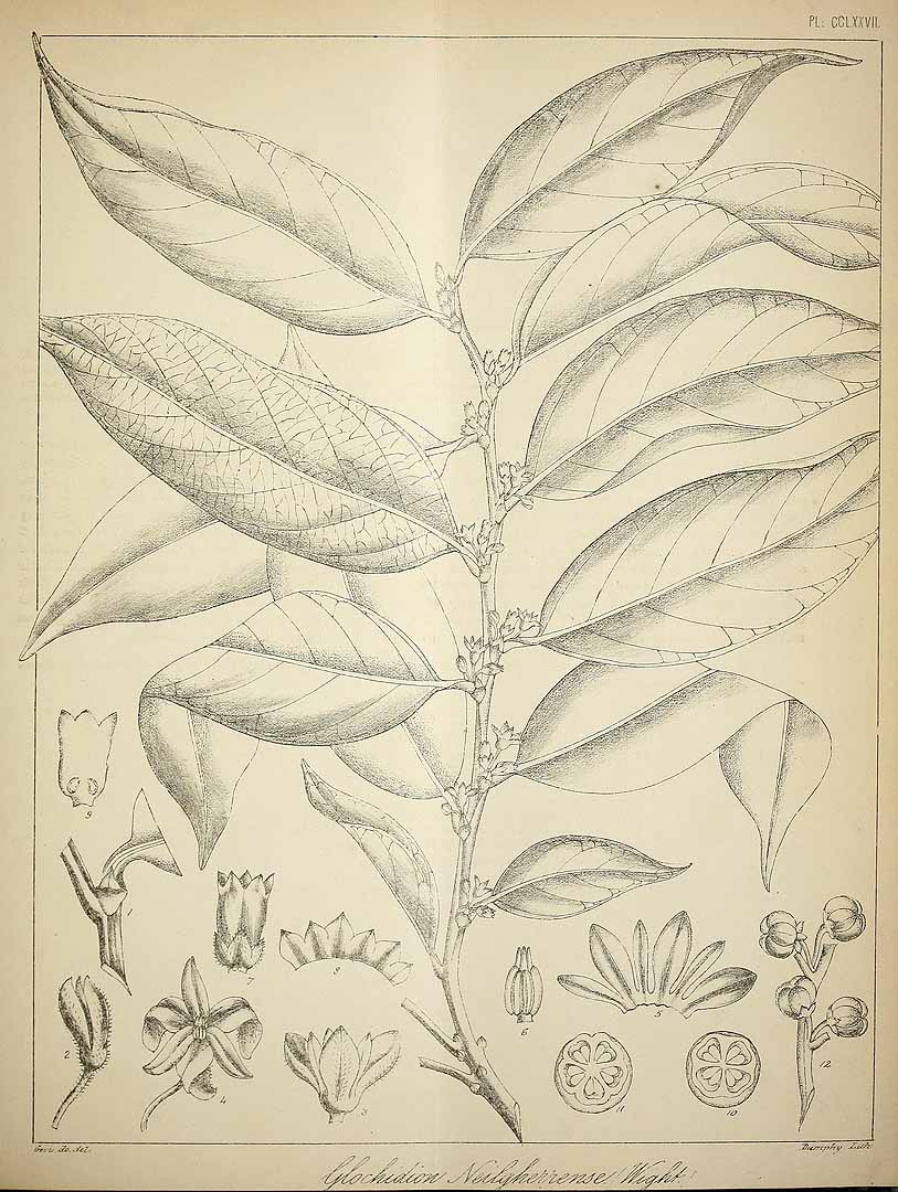 no HD illustration available (3)