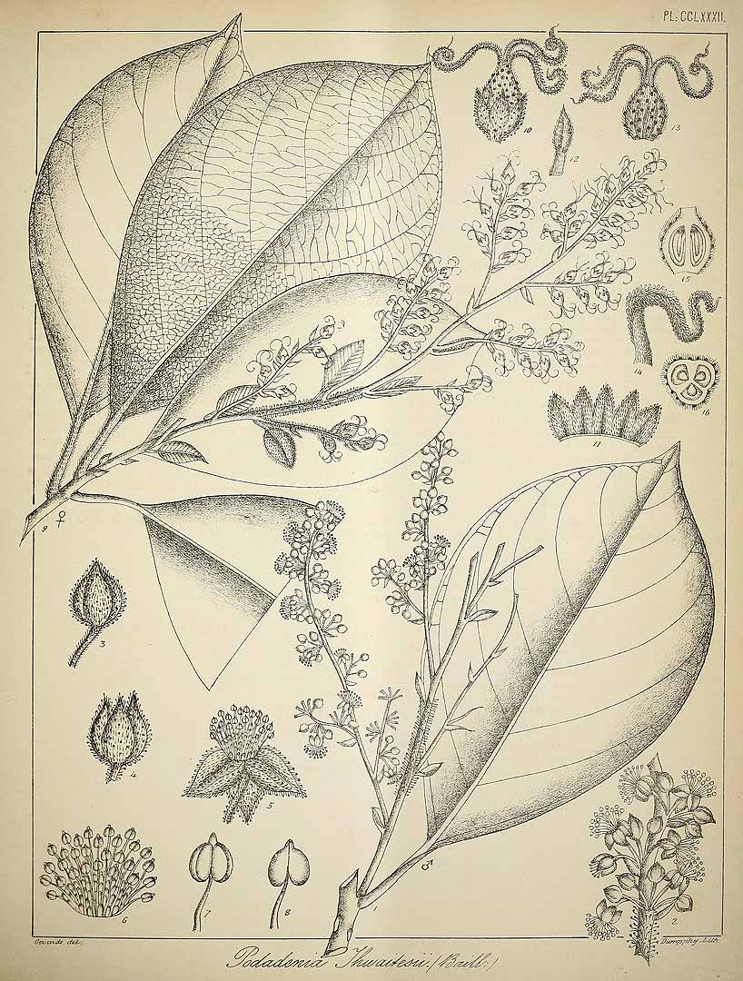 no HD illustration available (3)