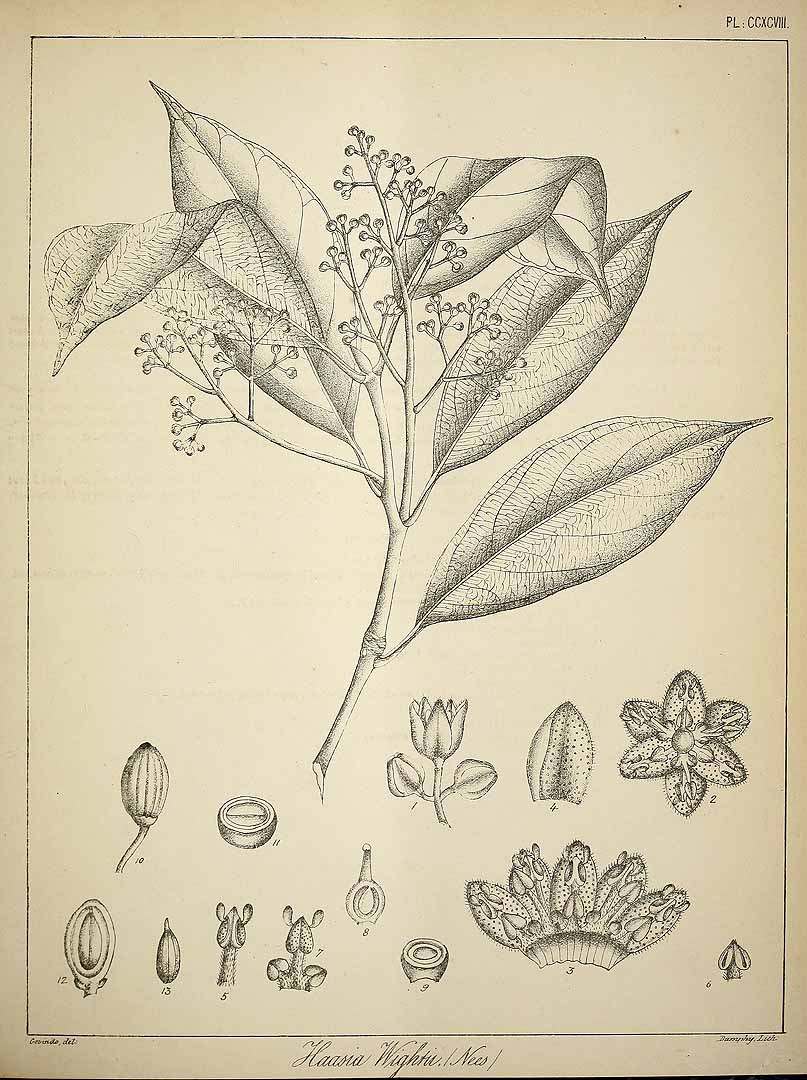 no HD illustration available (3)