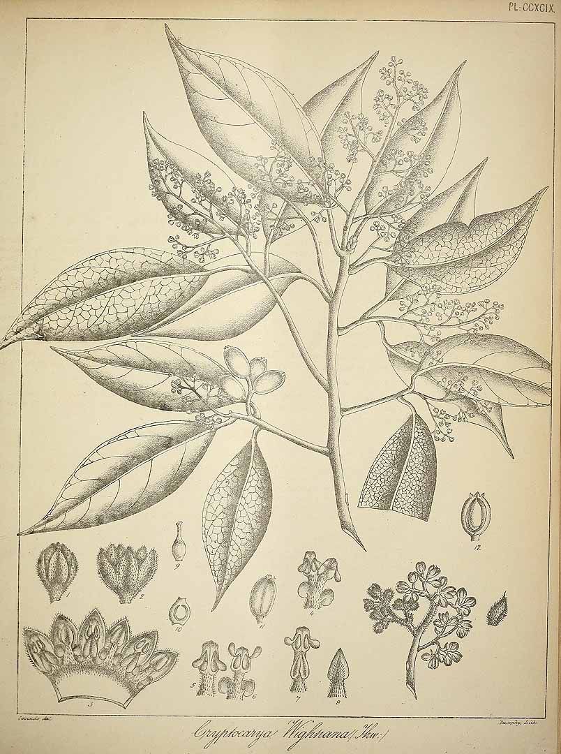 no HD illustration available (3)