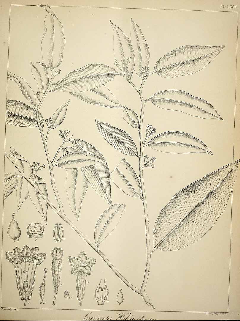 no HD illustration available (3)