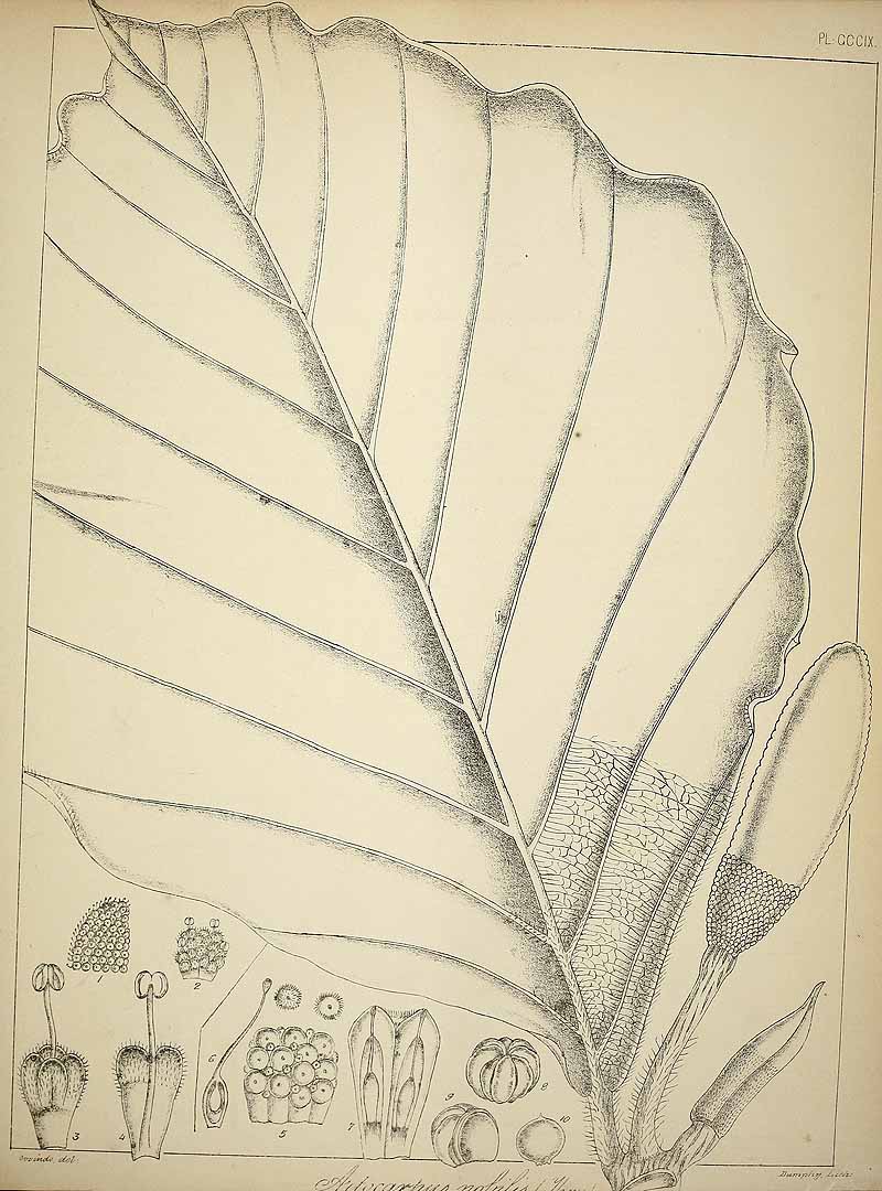 no HD illustration available (3)