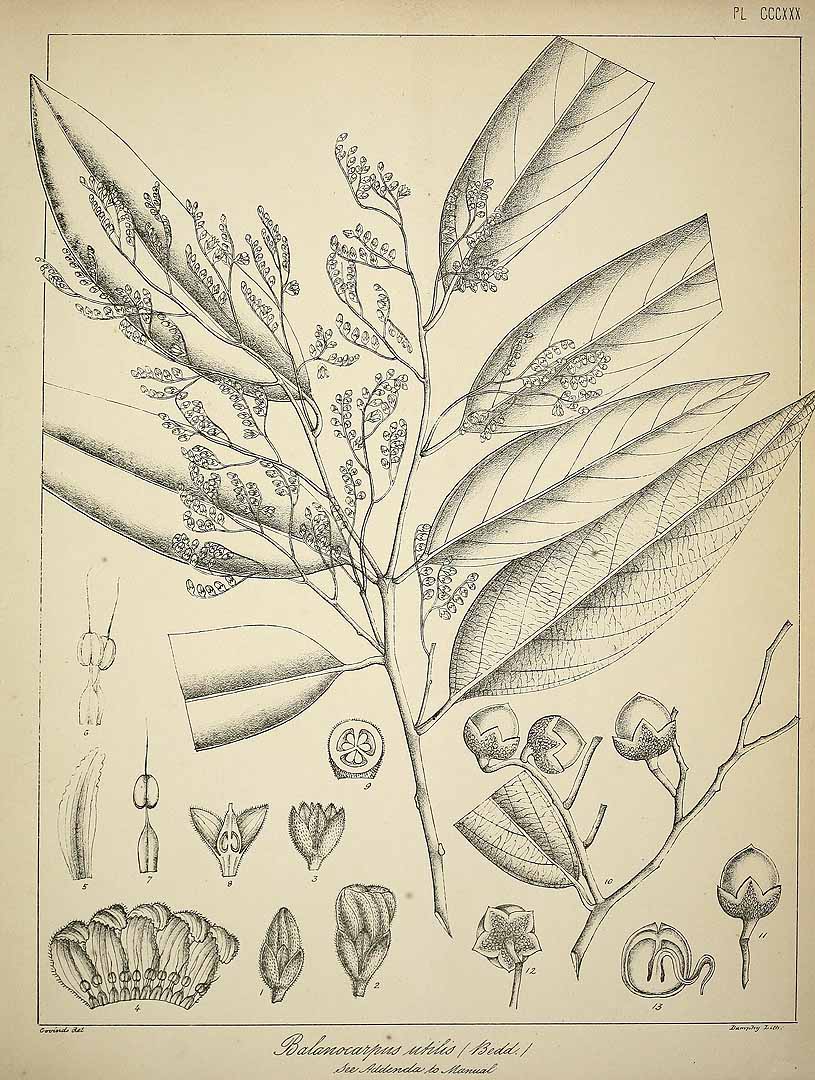 no HD illustration available (3)