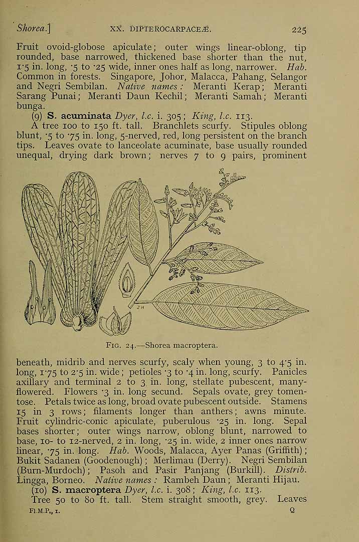 no HD illustration available (3)