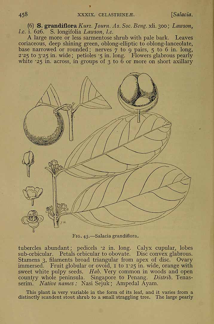 no HD illustration available (3)