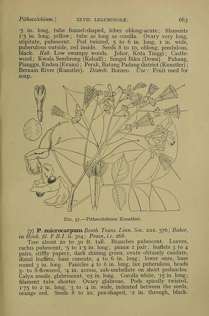 no HD illustration available (3)