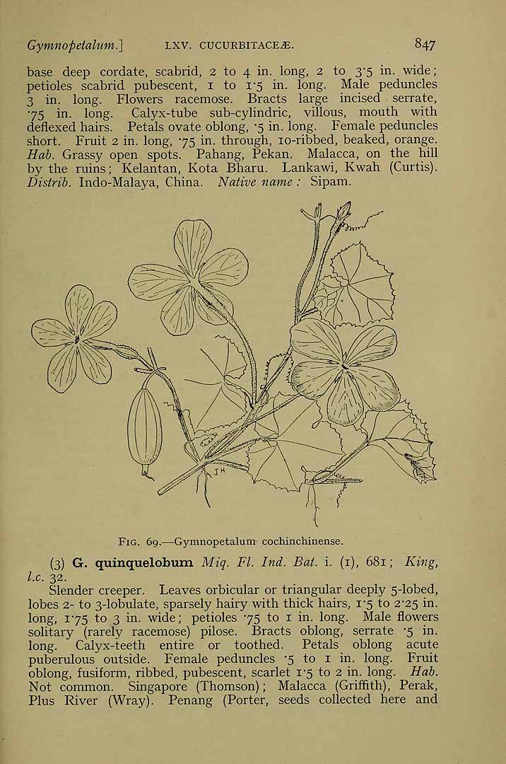 no HD illustration available (3)