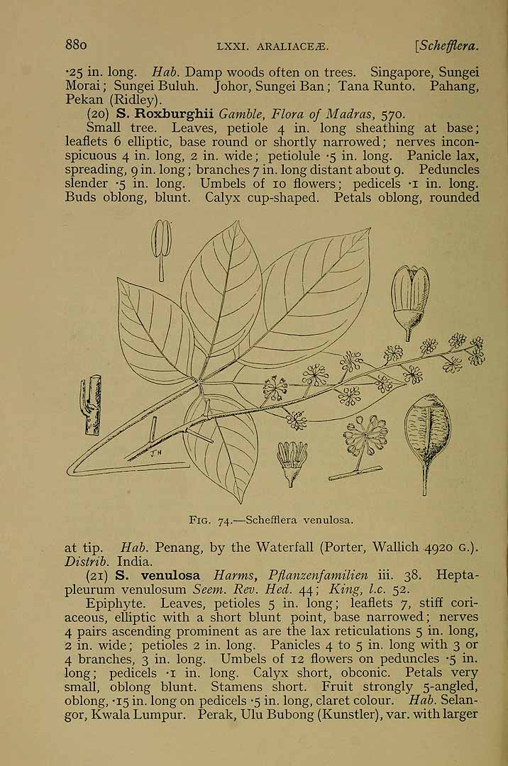 no HD illustration available (3)