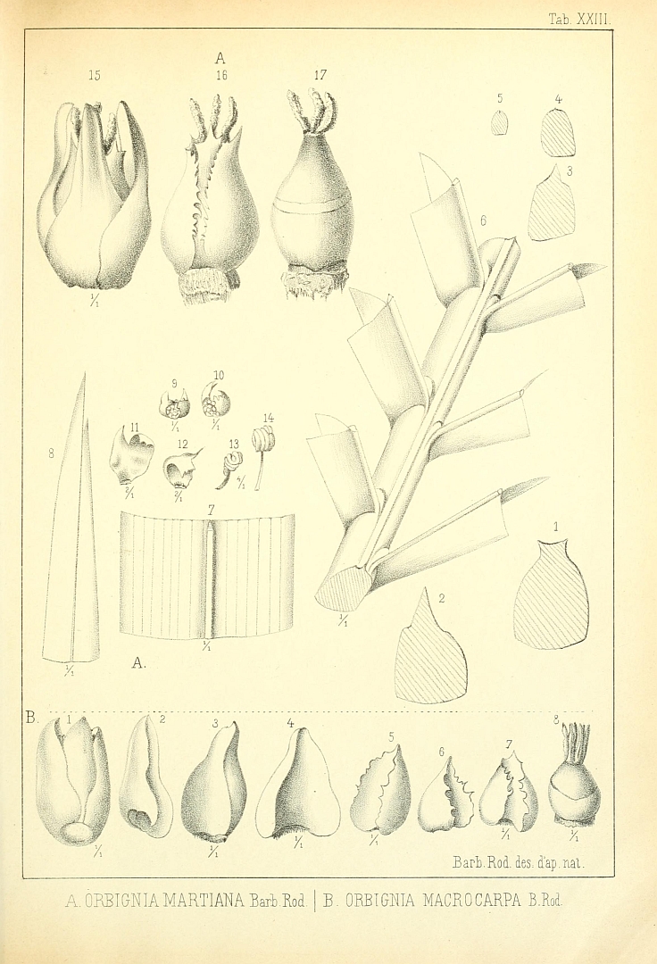 no HD illustration available (3)