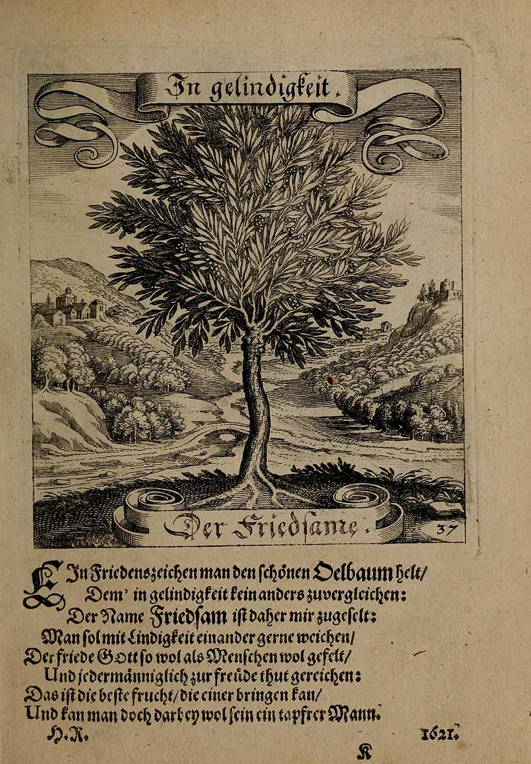 no HD illustration available (3)