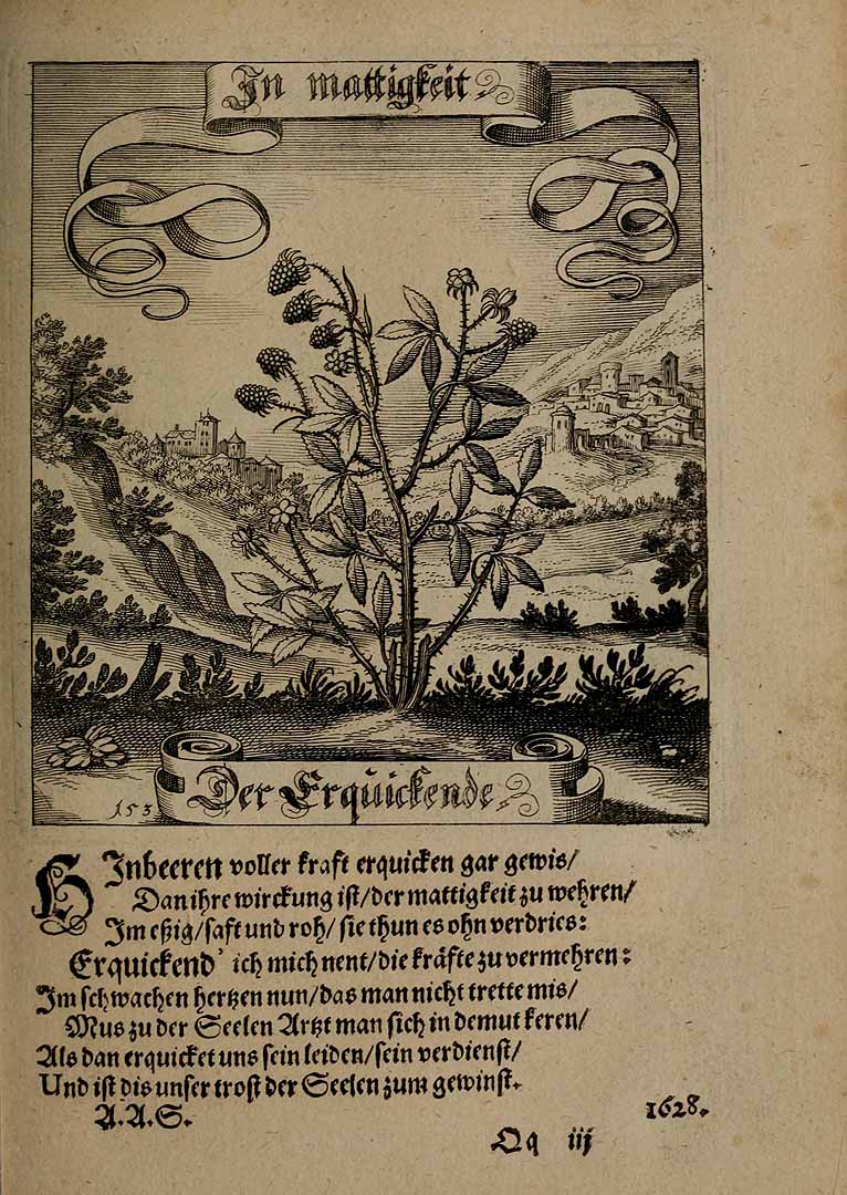 no HD illustration available (3)