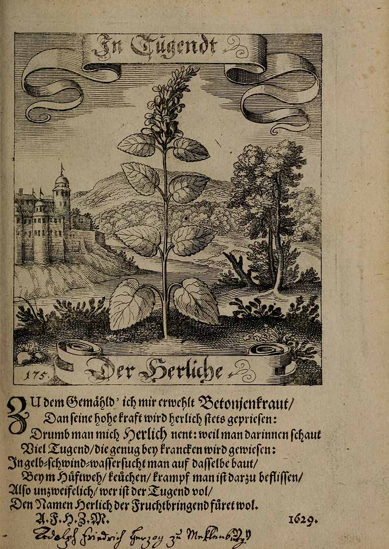 no HD illustration available (3)