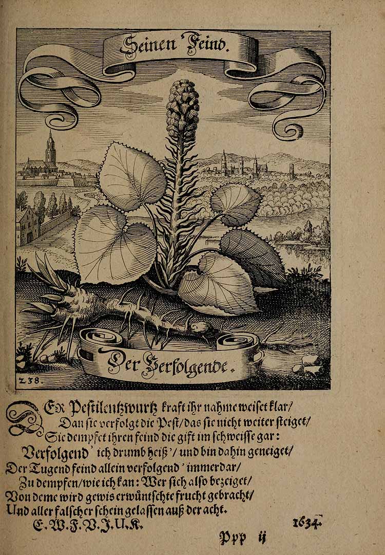 no HD illustration available (3)