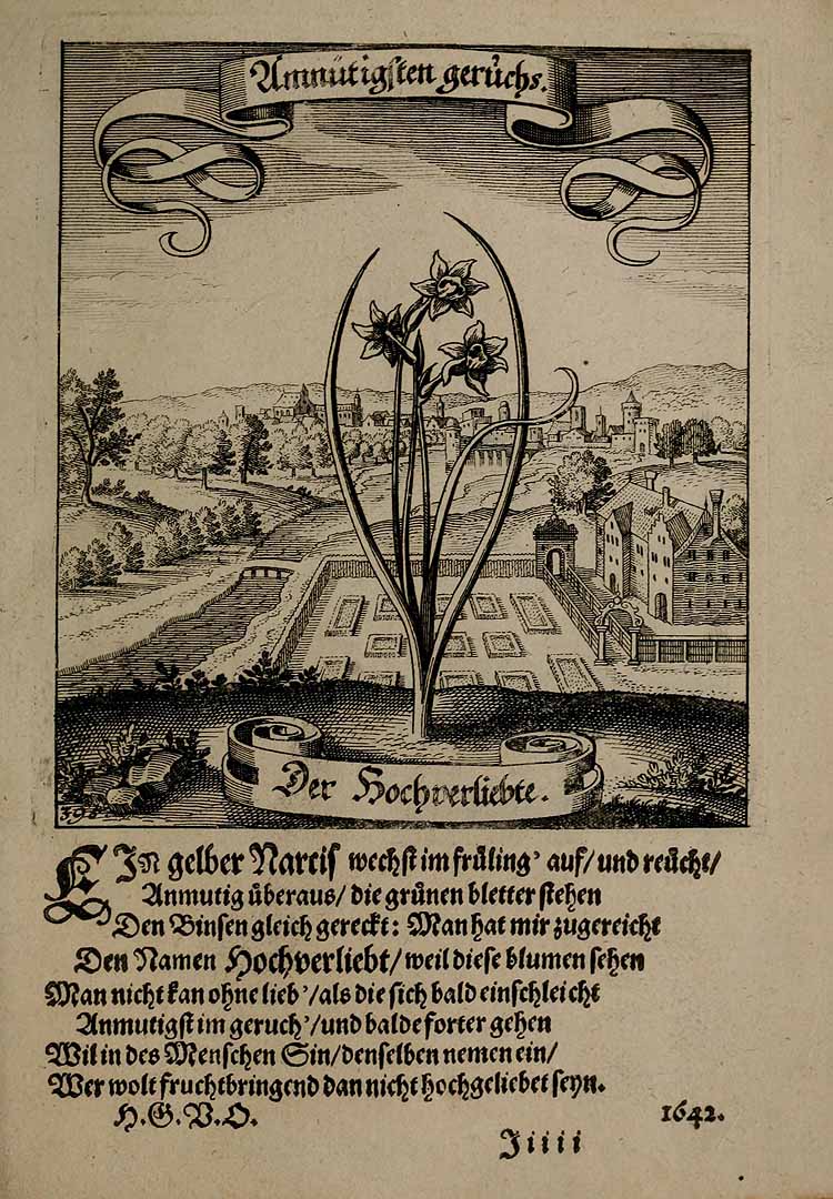 no HD illustration available (3)