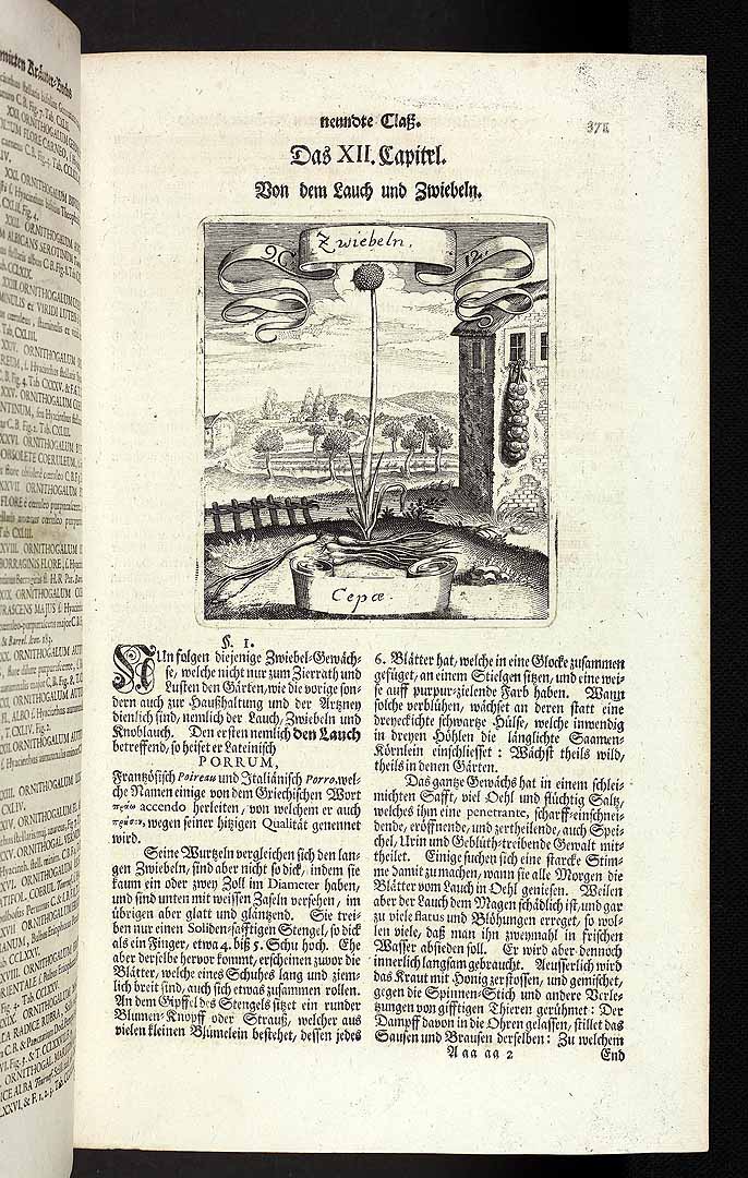 no HD illustration available (3)