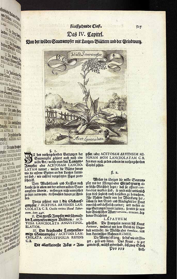 no HD illustration available (3)