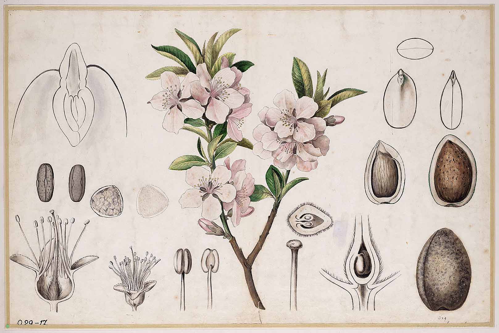 no HD illustration available (3)