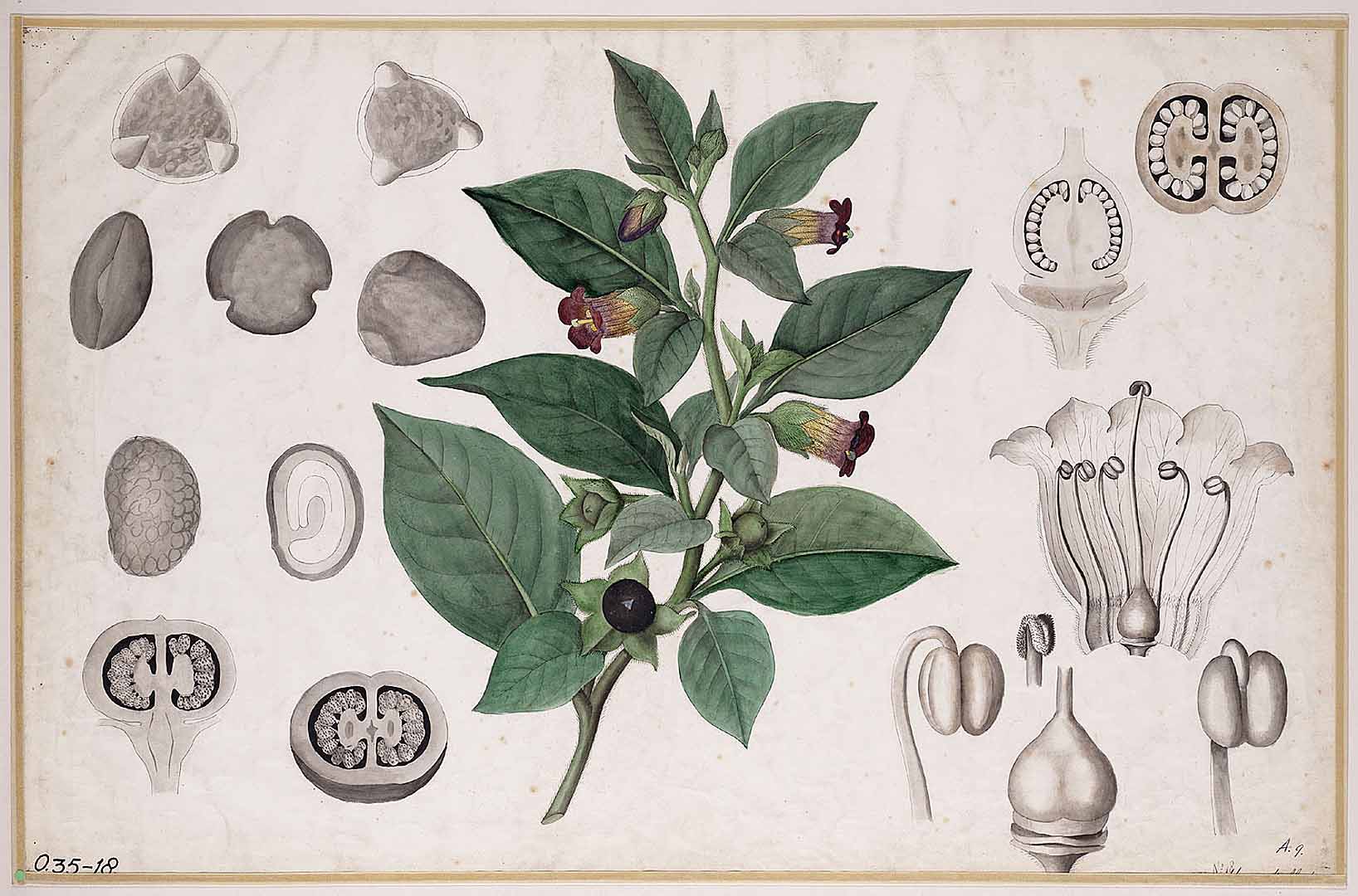 no HD illustration available (3)