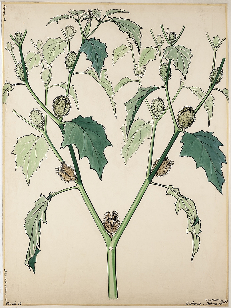 no HD illustration available (3)