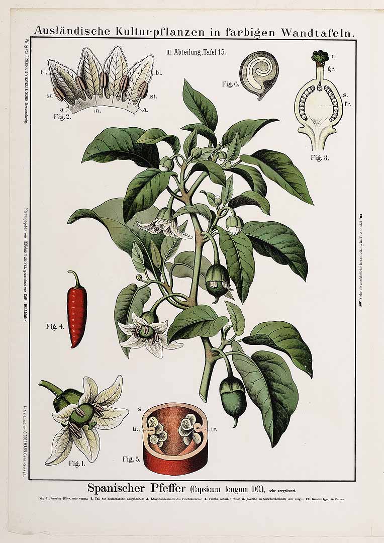 no HD illustration available (3)