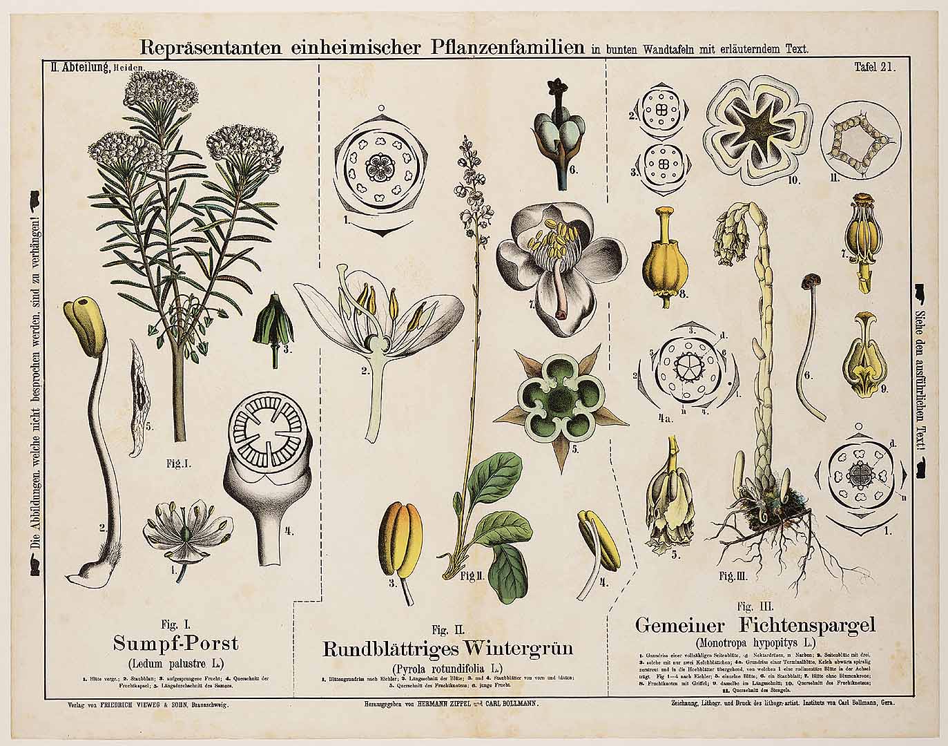 no HD illustration available (3)