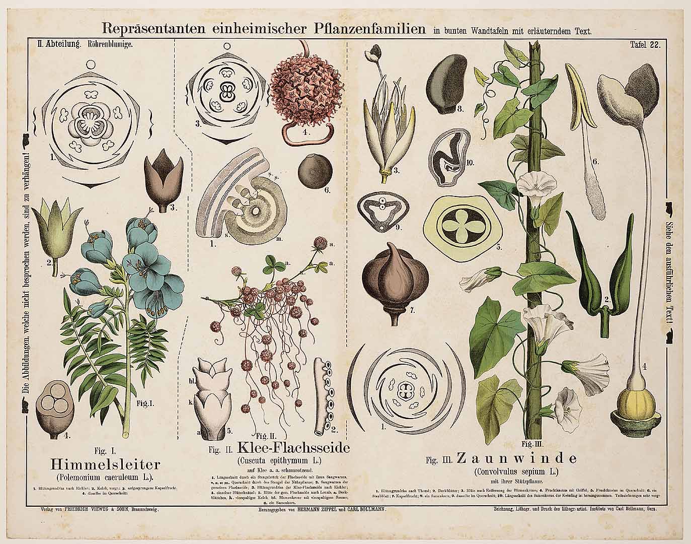 no HD illustration available (3)