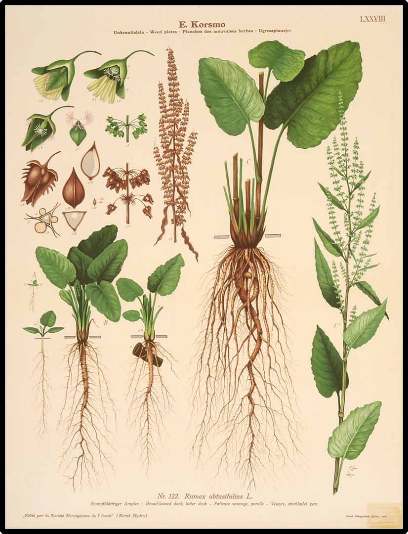 no HD illustration available (3)