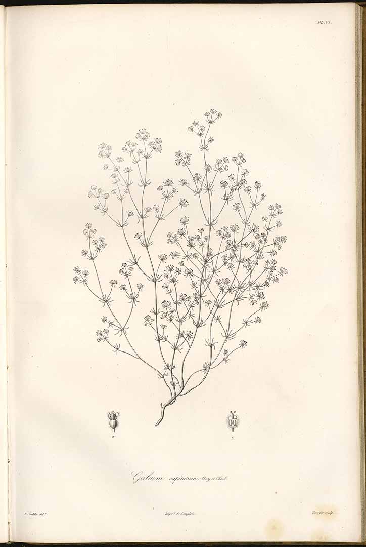 no HD illustration available (3)