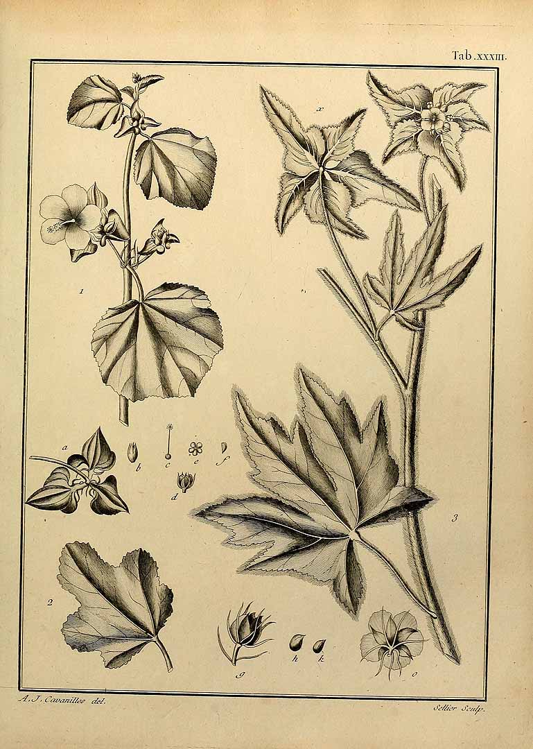 no HD illustration available (3)