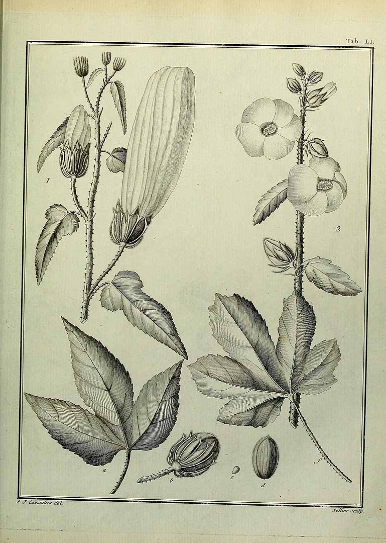 no HD illustration available (3)