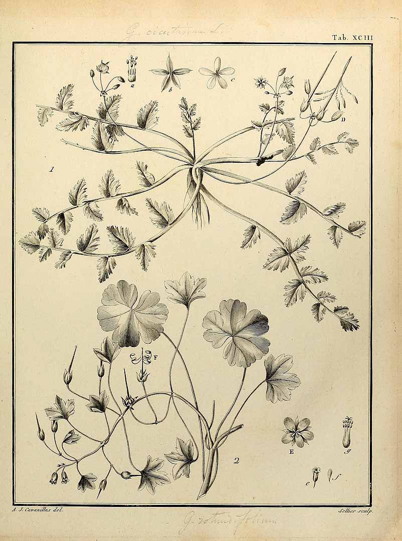 no HD illustration available (3)