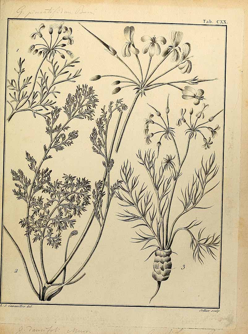 no HD illustration available (3)