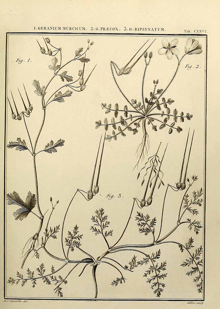 no HD illustration available (3)