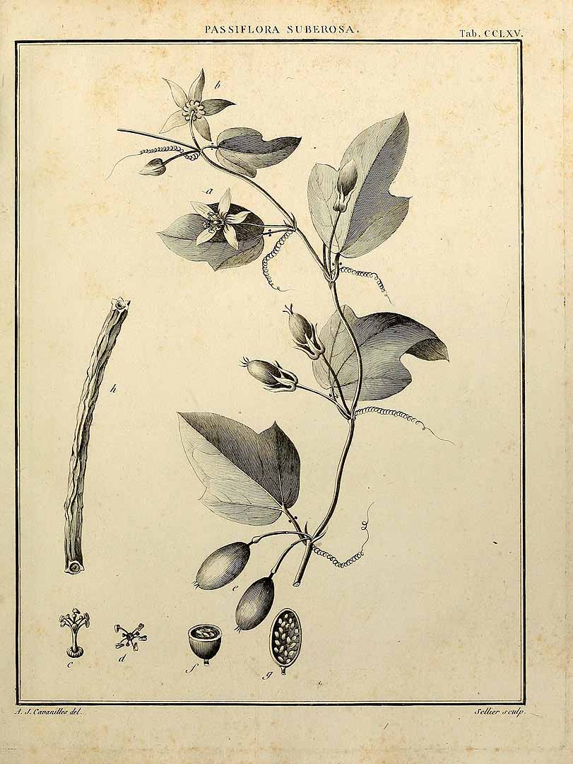 no HD illustration available (3)