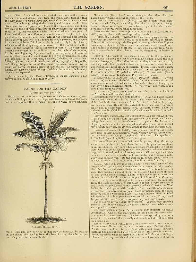 no HD illustration available (3)