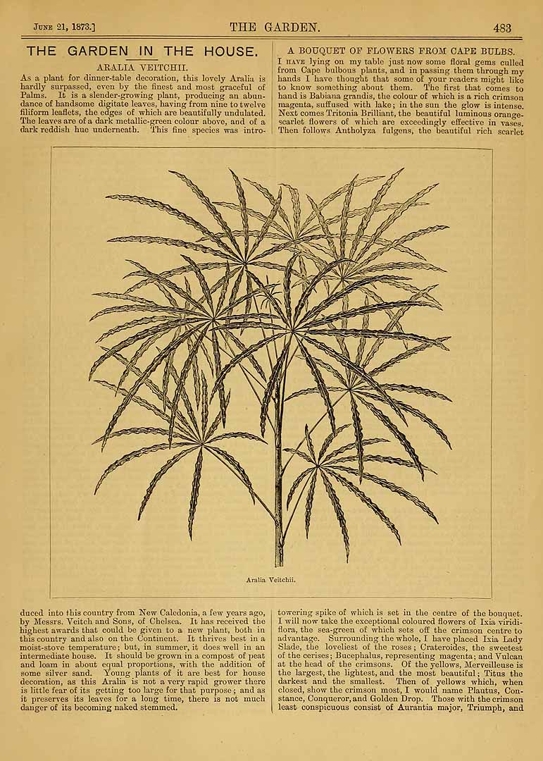 no HD illustration available (3)