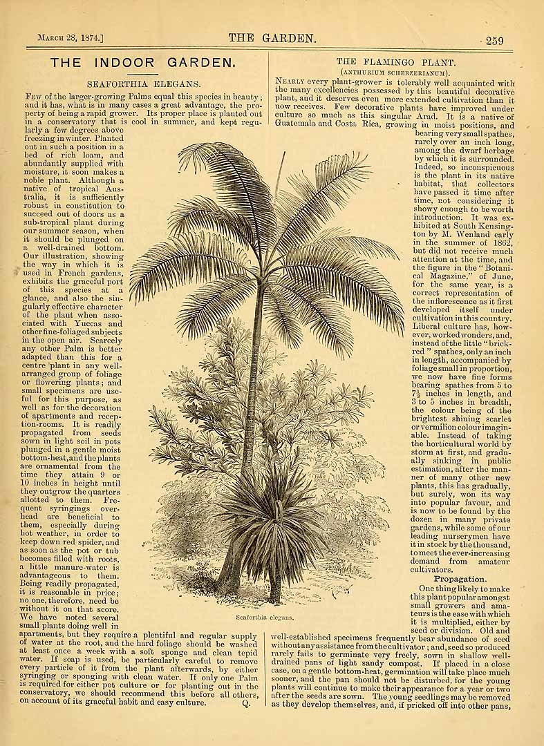 no HD illustration available (3)