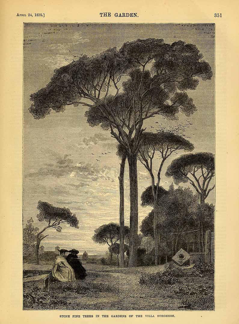 no HD illustration available (3)