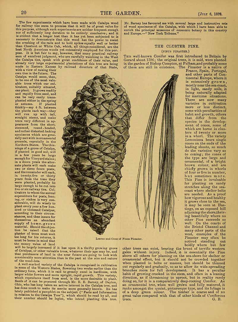 no HD illustration available (3)