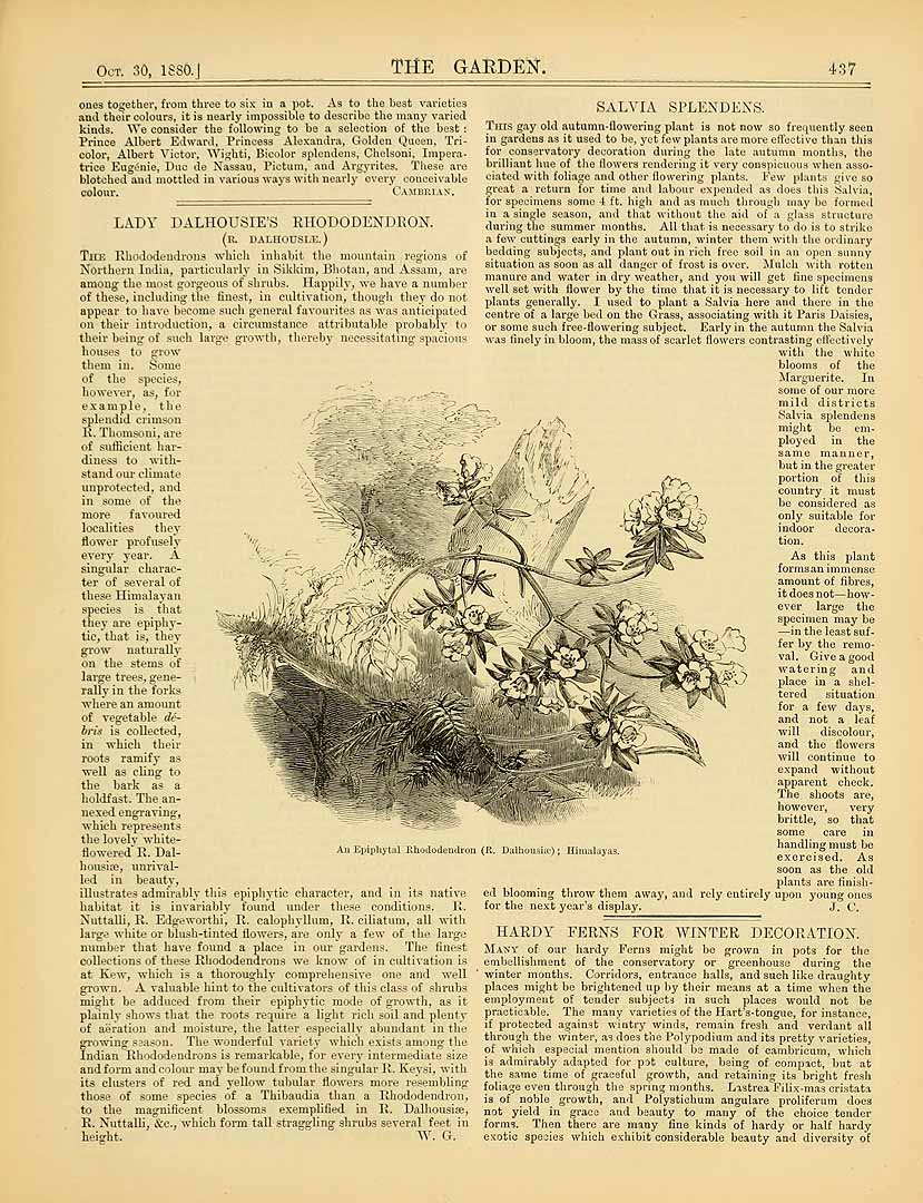 no HD illustration available (3)