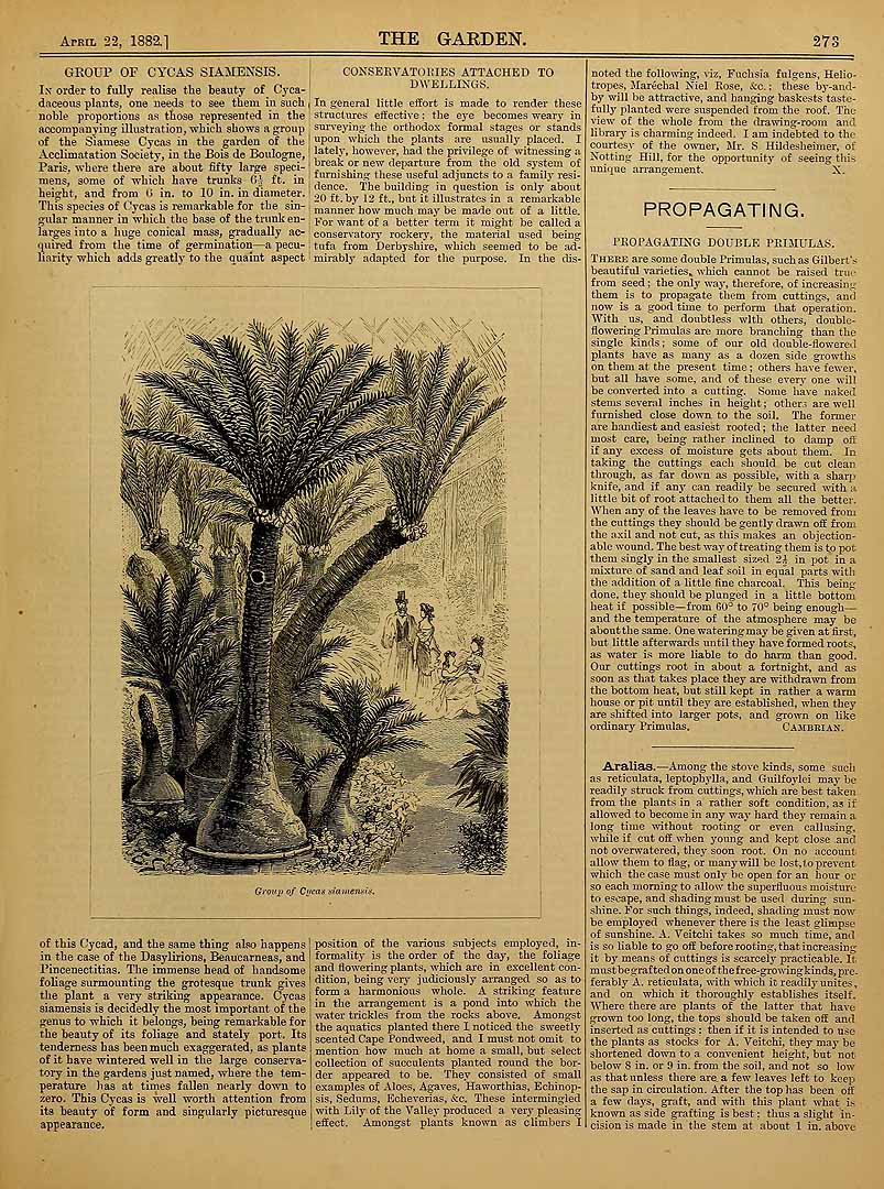 no HD illustration available (3)