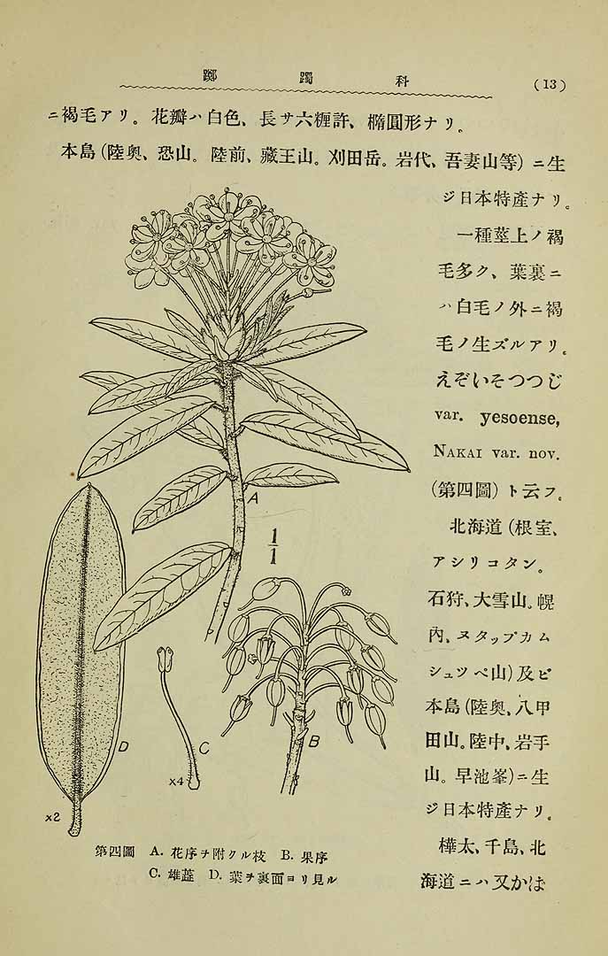 no HD illustration available (3)